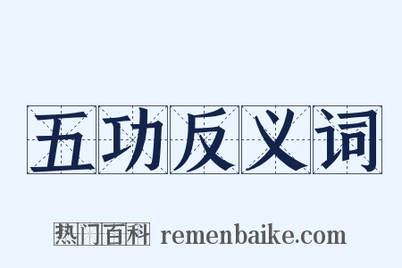 五功反义词是什么意思的图片